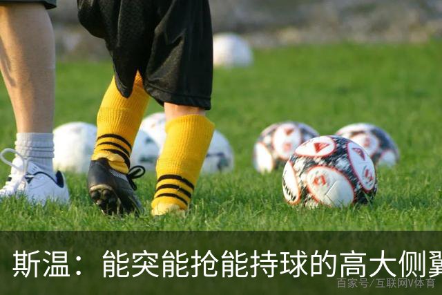 斯温：能突能抢能持球的高大侧翼 或是首轮末捡漏最佳选择？